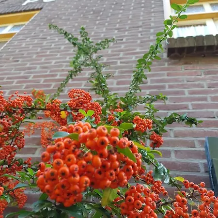 Hoeve Polsdonk Oirschot