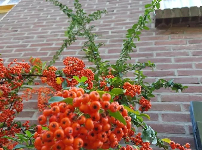 Hoeve Polsdonk Oirschot