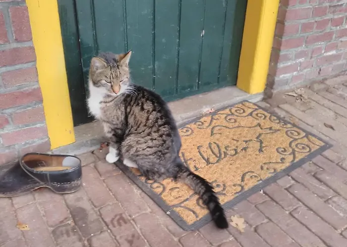 Apartment Hoeve Polsdonk *